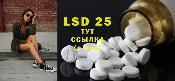PSILOCYBIN Каменногорск