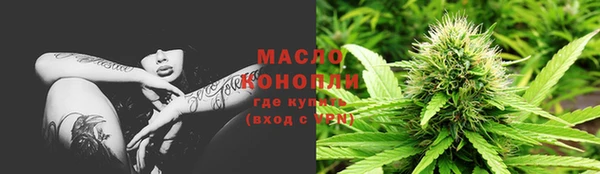 гидропоника Каменка