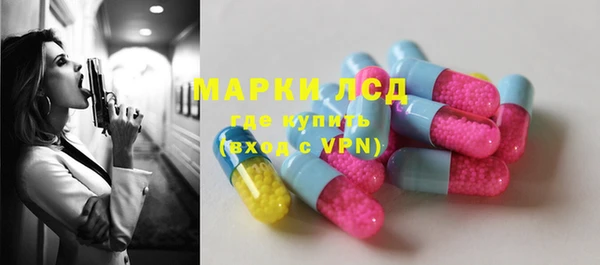 PSILOCYBIN Каменногорск