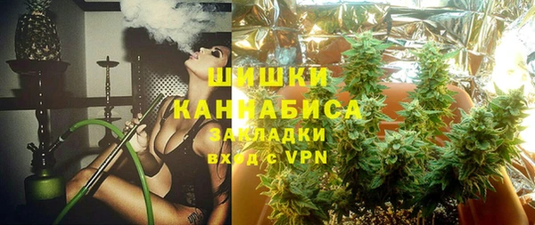 гидропоника Каменка