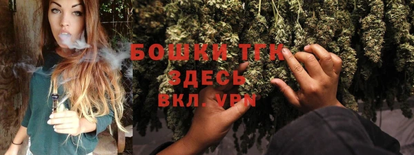 гидропоника Каменка