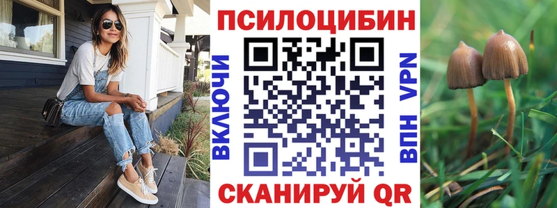 Купить закладки  Бакал  Галлюциногенные грибы мухоморы 
